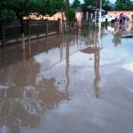 Mai multe gospodării din judeţ, inundate din cauza ploilor de noaptea trecută