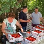 Cea mai mare cooperativă agricolă din Olt este la Vădăstrița. Câți membri are și cum și-au sporit profitul- VIDEO