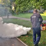 Maine începe dezinsectia anti-țânțari, în Satu Mare