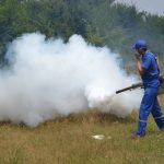 Primăria Călărași face precizări vizavi de tratamentele împotriva țânțarilor
