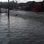 Inundații în Timiș.  Localități sub amenințarea apelor. Foto!