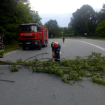 În apropierea localităţii Perii Vadului: trafic blocat pe un sens din cauza unui copac căzut pe partea carosabilă