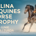 Începe Salina Equines Horse Trophy, la Turda