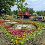 Zeci de mii de flori colorează Țara Piticilor din Parcul Tăbăcărie