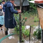 Zorleni: 20 de gospodării inundate. Se intervine cu motopompe