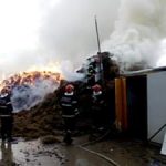 Mii de baloți de plante furajere au ars într-un incendiu provocat de trăznet