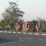 Un TIR care transporta porci s-a răsturnat lângă Timișoara