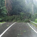 Circulaţia rutieră şi feroviară întreruptă la Miercurea Ciuc, din cauza copacilor căzuţi