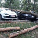 FOTO: Un copac a căzut peste două mașini, în parcarea de la Platoul Cornești