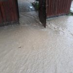 Gospodării inundate la Mironu și Vatra Dornei VIDEO