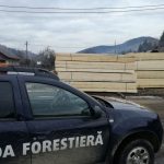 Amenzi de 6.000 lei în urma unei acțiuni comune a IPJ Covasna şi Gărzii Forestiere