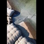 Substanţă necunoscută, deversată în râul Olt | Garda de Mediu a început o anchetă – VIDEO