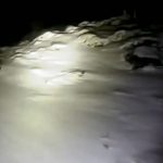 VIDEO A nins la Vârful Omu. Temperatura a fost de -1 Celcius