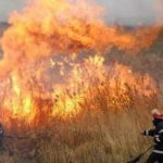 Șase incendii de vegetație uscată produse în interval de două zile
