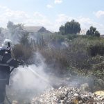 Incendiu de vegetație uscată, în zona Bălții Craiovița din Bănie