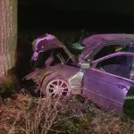 Un buzoian beat a intrat cu BMW-ul într-un copac şi a băgat doi oameni în spital