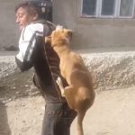 VIDEO:Dansul câinelui spânzurat la Răchitoasa. Un bărbat beat ține legat în spate un cățel și îl chinuie pe ritmul muzicii.„Lasă câinele, că are purici”, strigă o femeie