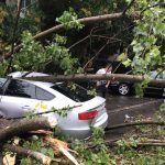 FOTO VIDEO| Furtună la Constanța. Copaci doborâți peste mașini, străzi inundate