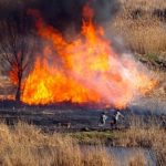 Giurgiuvean ars de viu într-un incendiu de vegetație uscată