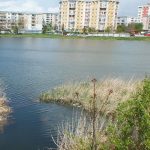 Undă verde pentru amenajarea Parcului Între Lacuri din Cluj-Napoca