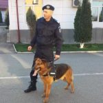 Ceremonial al Jandarmeriei, la retragerea din activitate a unui câine