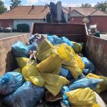 „Let’s do it, România!”. Peste 3.500 de saci, plini cu gunoaie, adunați în județul Hunedoara