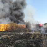 Incendiu de vegetaţie uscată în comuna Podari. Focul a cuprins şi două maşini parcate – VIDEO