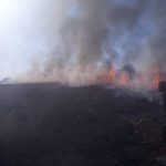 Incendiu puternic de vegetație uscată, la Craiova. VIDEO