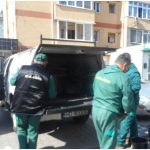 Acțiuni de deratizare și dezinsecție la Alba Iulia