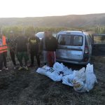 6 tineri din Blaj prinși în timp ce se pregăteau să sustragă struguri dintr-o vie