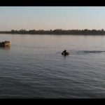 Bărbați înecați în Olt și Dunăre, scoși la mal de sacafandri