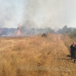 Sute de hectare de vegetație uscată au ars, în doar două zile, în județul Dolj-video