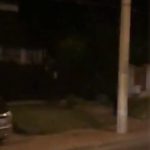 Urs filmat pe o stradă din Piatra-Neamț. Reacția Prefecturii (VIDEO)