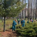 Un nou parc în Timișoara, după dezastrul spațiilor verzi din oraș