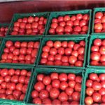 Legumicultorii din cooperativele Pleșoiu și Grădinari au dat lovitura! Livrează tomate și ardei către un mare lanț de supermarketuri