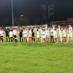 Gaz Metan a pierdut partida din deplasare cu Dinamo, scor 2-0