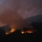3 Incendiu de vegetație în Parcul Național Domogled – Valea Cernei