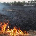 Cetățean din județul Giurgiu, sancționat pentru arderea necontrolată a vegetației uscate