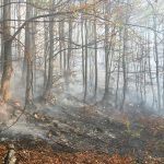 Au reuşit să câştige lupta cu focul! Pompierii au stins cele două incendii izbucnite în nordul și sudul județului Hunedoara