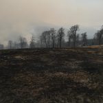 A fost stins incendiul din zona Cornereva, n-au ars trei ci treizeci de hectare (1)
