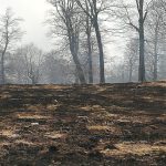 A fost stins incendiul din zona Cornereva, n-au ars trei ci treizeci de hectare (2)