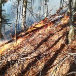 A fost stins incendiul din zona Cornereva, n-au ars trei ci treizeci de hectare (3)