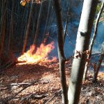 A fost stins incendiul din zona Cornereva, n-au ars trei ci treizeci de hectare (5)