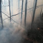 A fost stins incendiul din zona Cornereva, n-au ars trei ci treizeci de hectare (7)