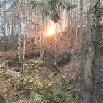 A fost stins incendiul din zona Cornereva, n-au ars trei ci treizeci de hectare (8)