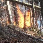 A fost stins incendiul din zona Cornereva, n-au ars trei ci treizeci de hectare (9)