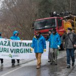 Tăierile din Parcul Național Domogled-Valea Cernei din nou anchetate la BBC