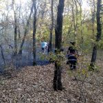 Pădure în flăcări la Uliești