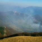 Incendiu de vegetație în Parcul Național Domogled – Valea Cernei