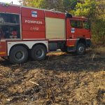 O femeie a murit într-un incendiu de vegetaţie uscată. A fost găsită de pompieri